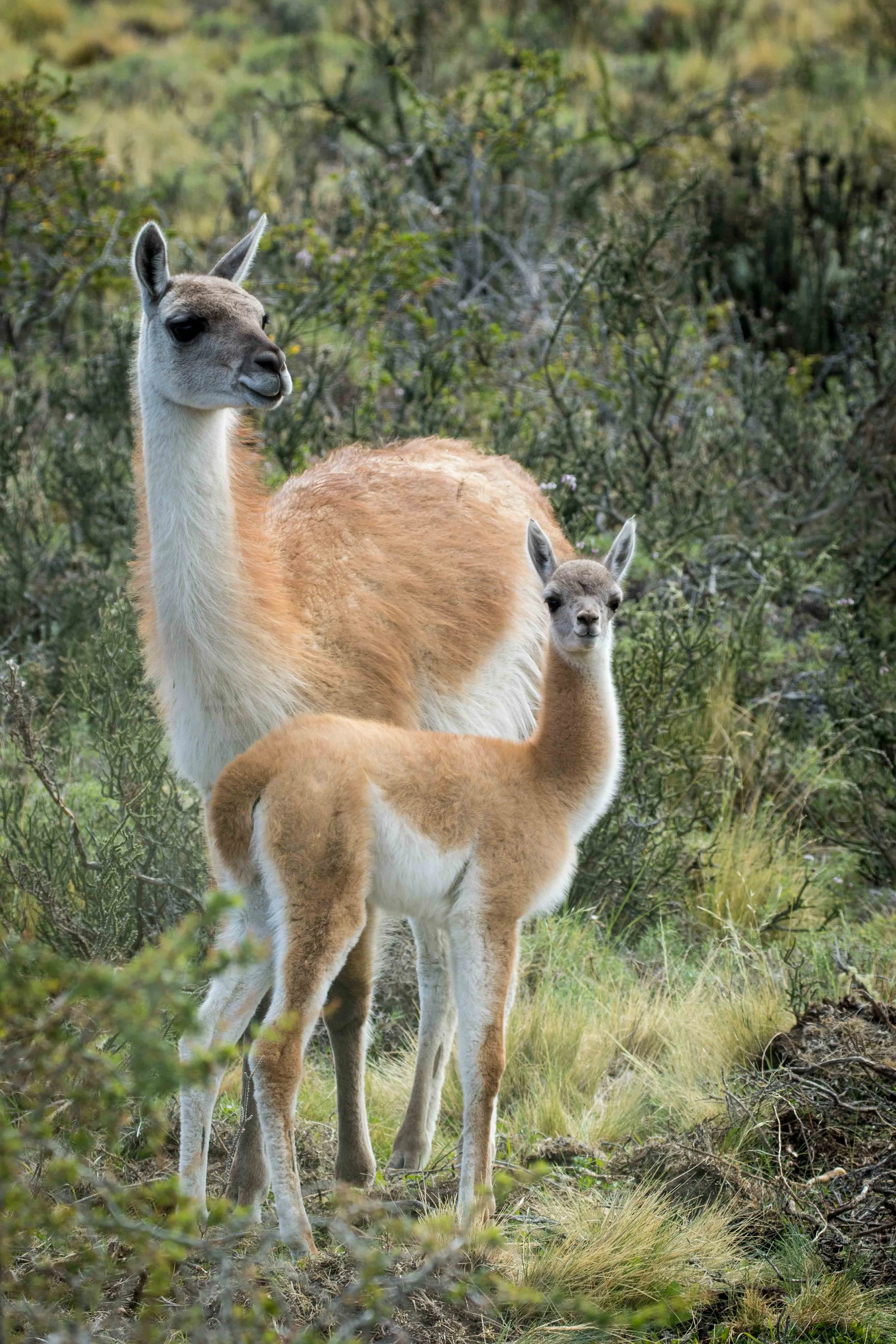 Gosia Pisowicz20.JPG