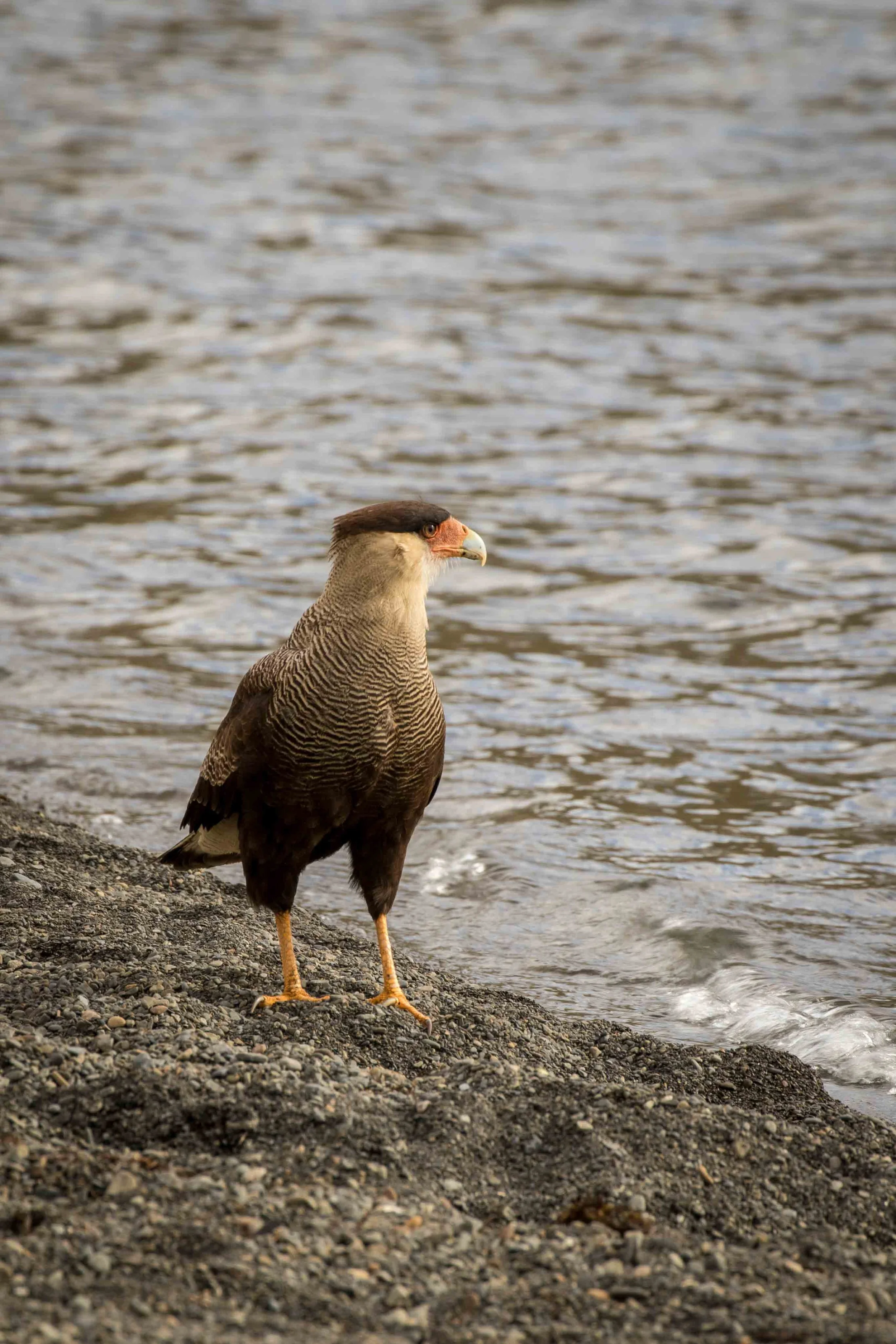 Gosia Pisowicz22.JPG