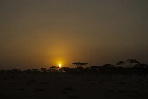 MirjamEvers 12Ethiopia.JPG