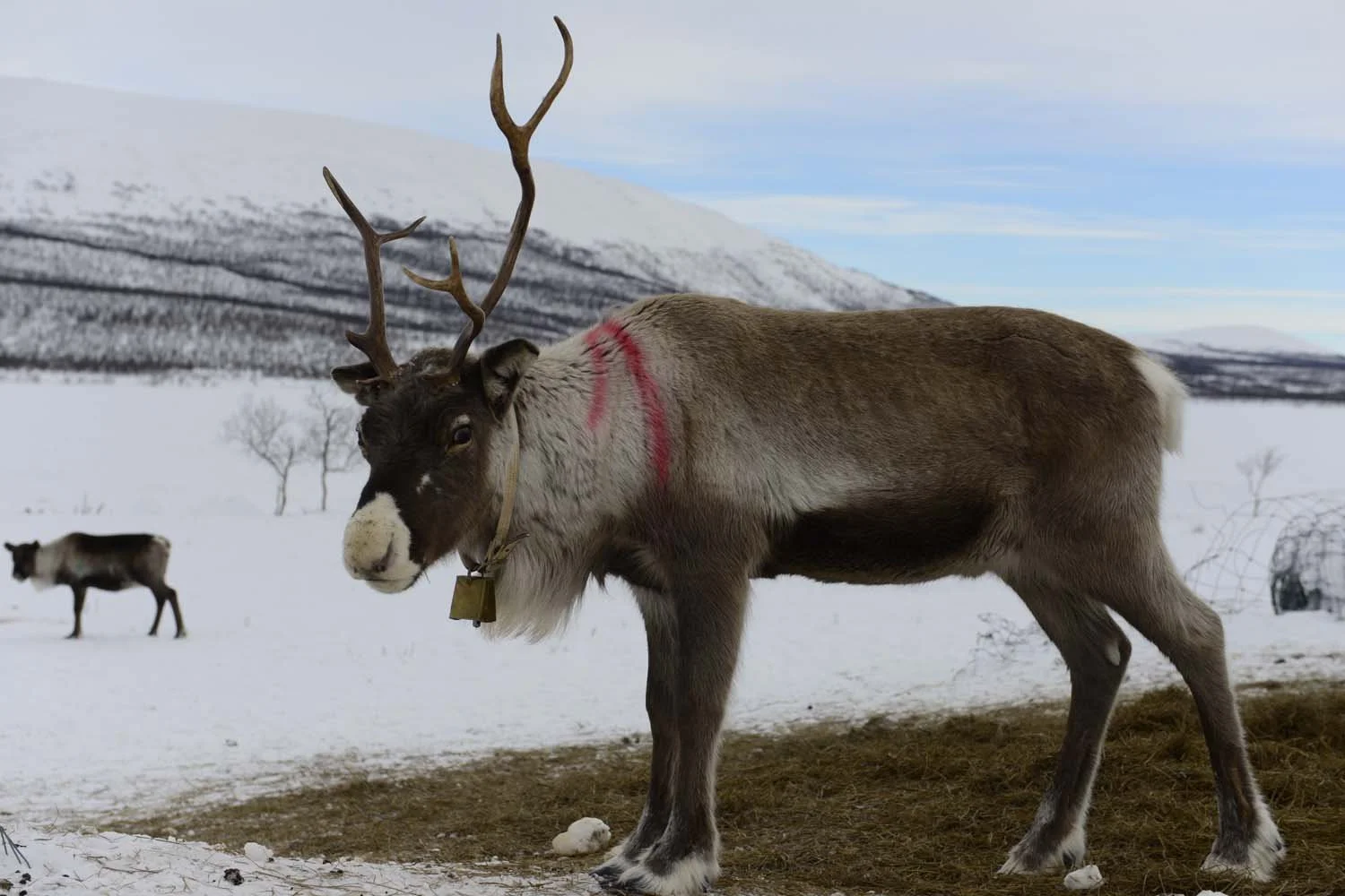 Finland©Mirjam Evers11.JPG