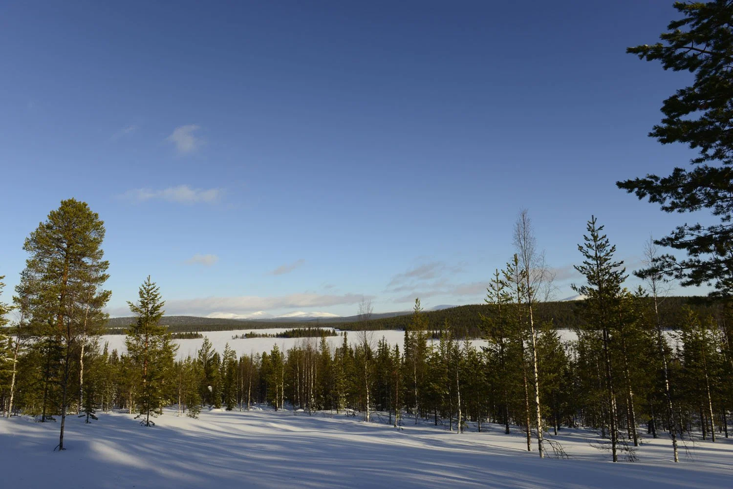 Finland©Mirjam Evers17.JPG