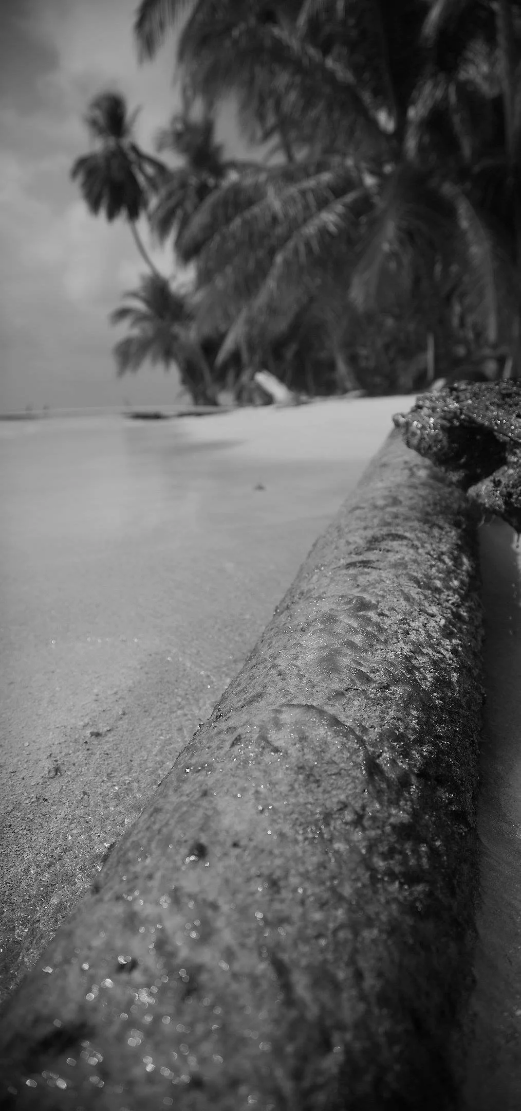 David Weathers03.JPG