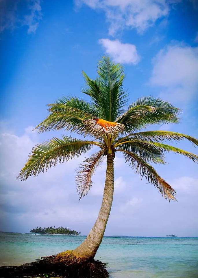 David Weathers06.JPG