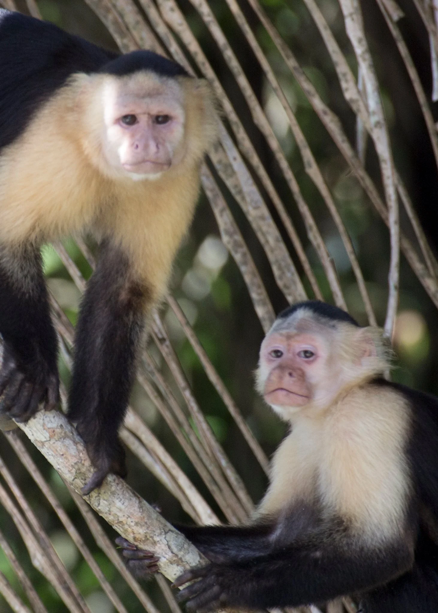 David Weathers08.JPG