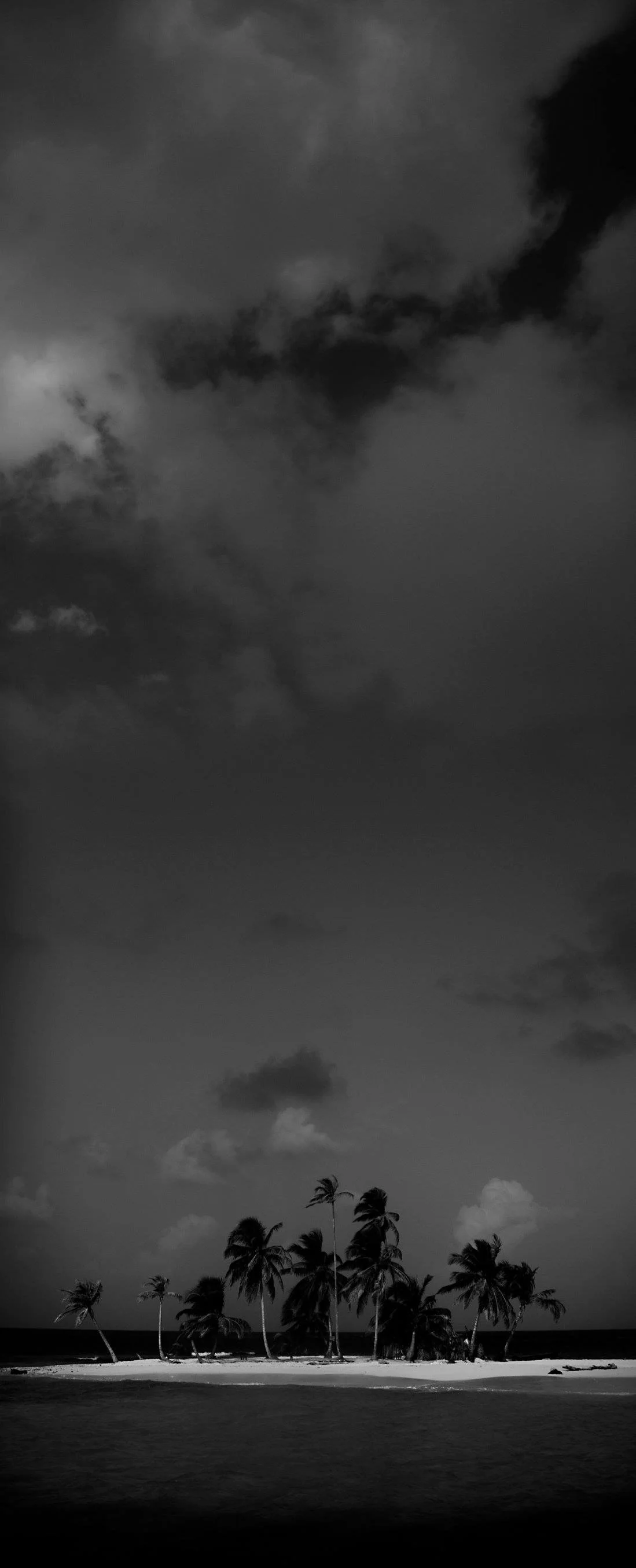 David Weathers16.JPG