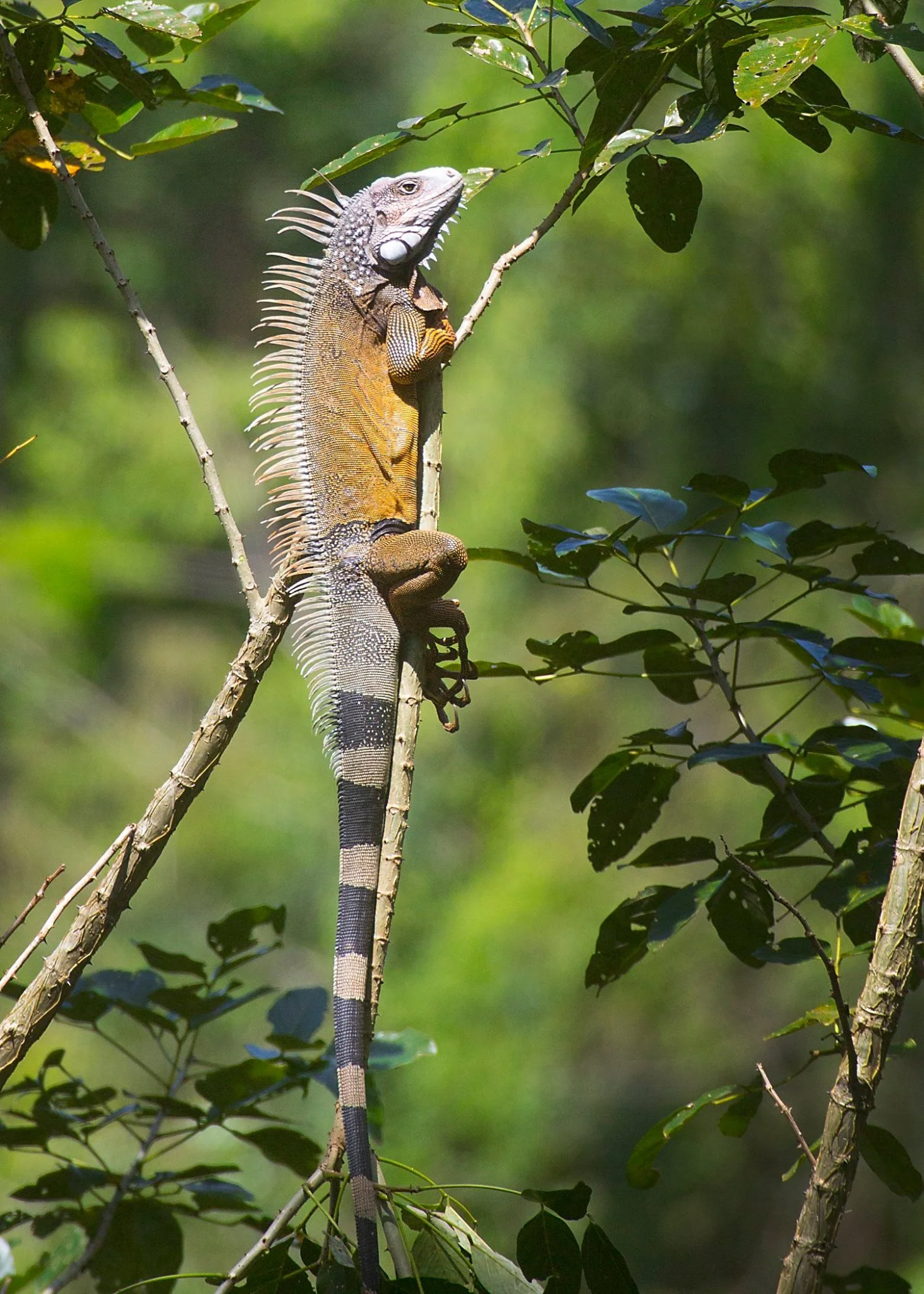 David Weathers20.JPG