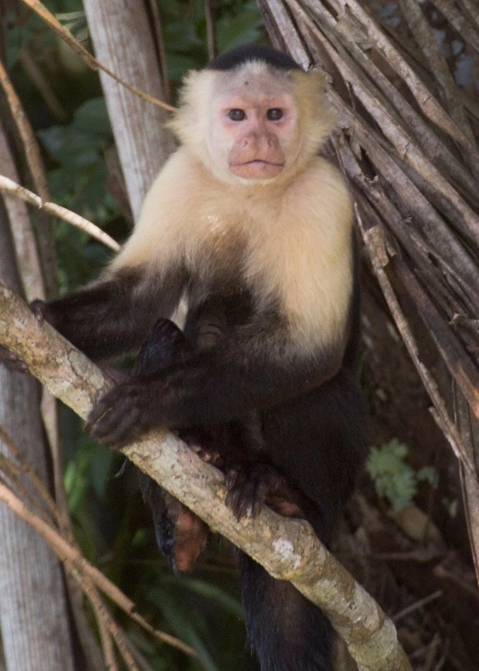 David Weathers25.JPG