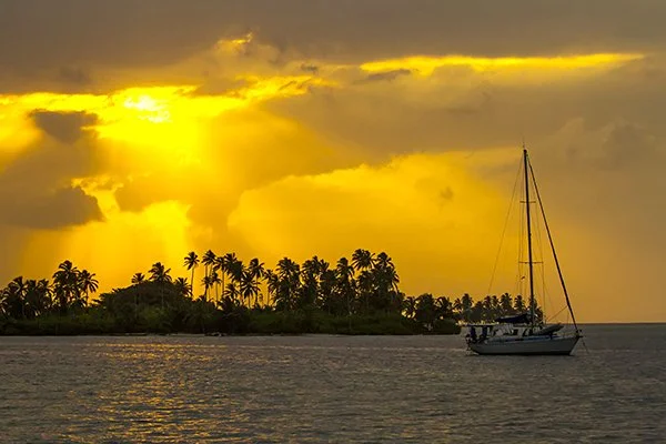 Bryan Busovicki12.JPG