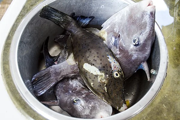 Bryan Busovicki14.JPG