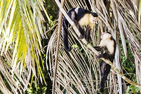 Bryan Busovicki18.JPG