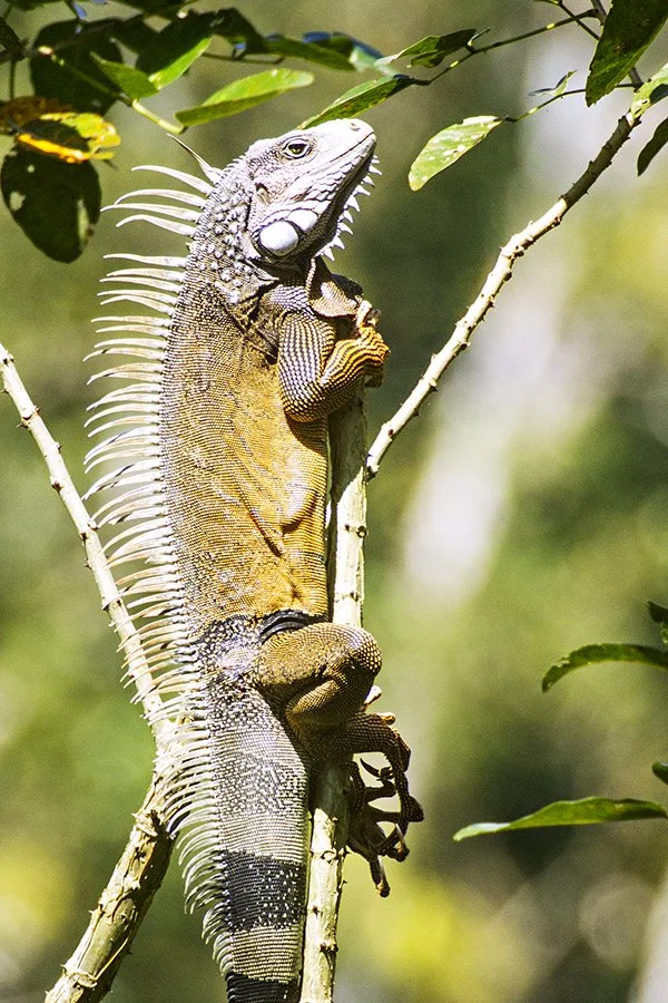 Bryan Busovicki19.JPG