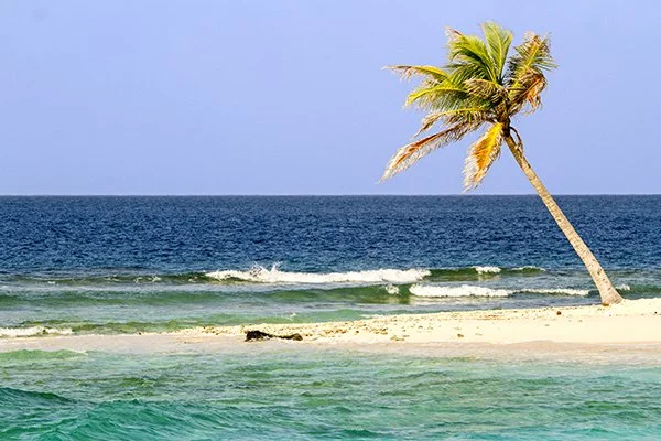 Bryan Busovicki25.JPG