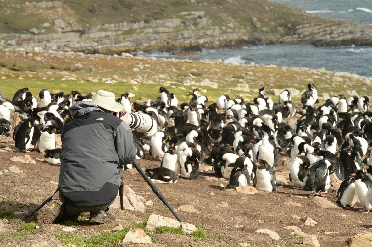 FalklandIslands Mirjam Evers01.JPG