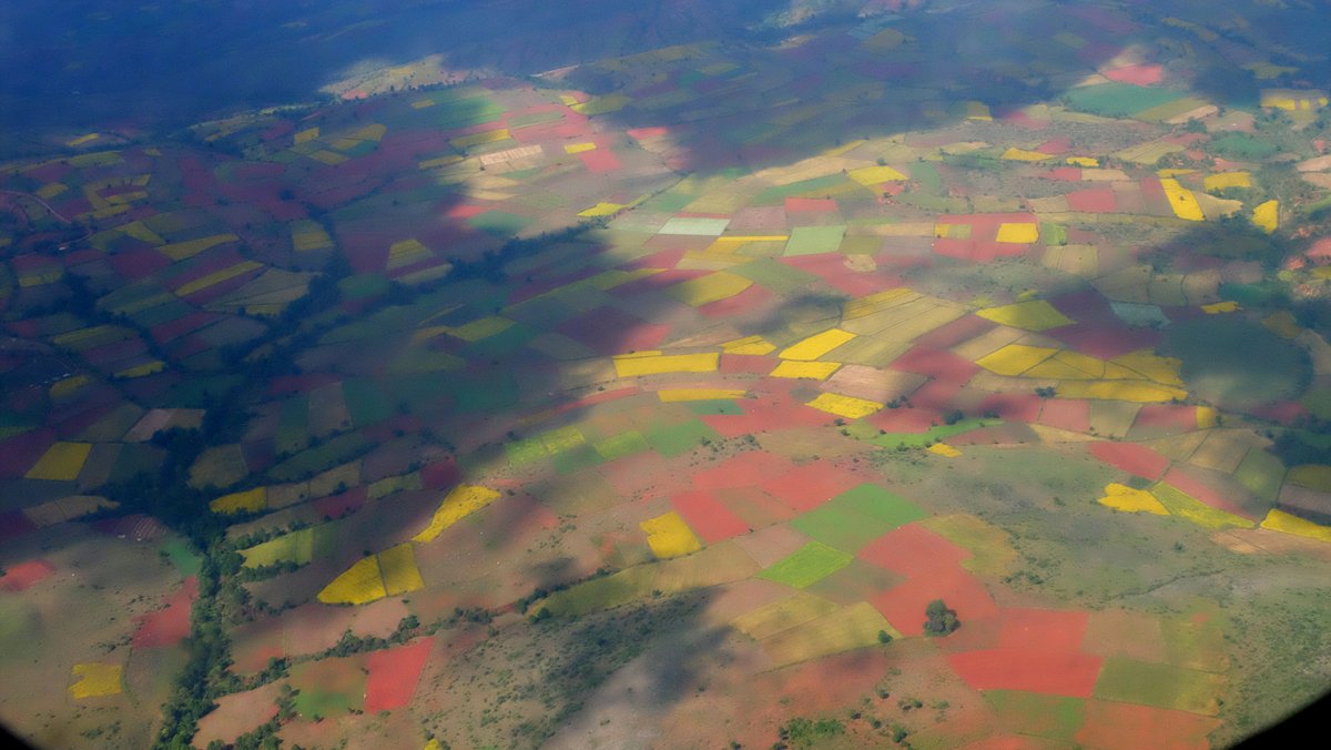 FalklandIslands Mirjam Evers08.JPG