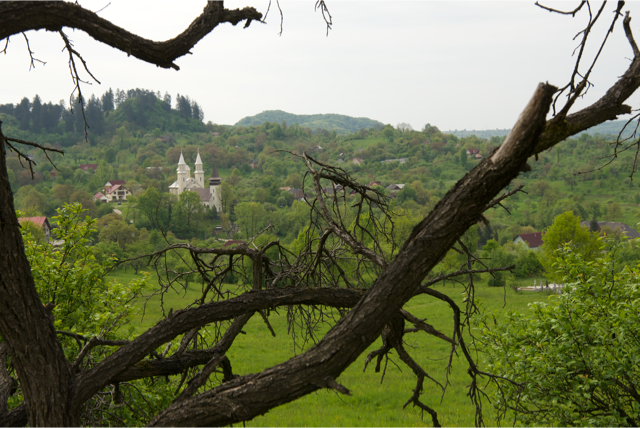 Richard Westin03.PNG