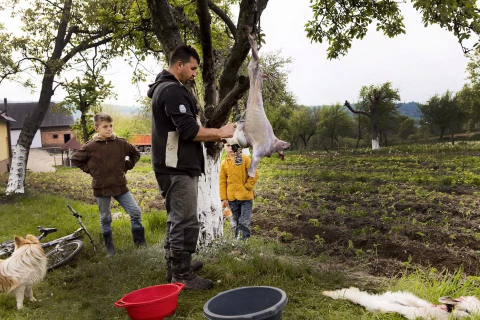 David Weathers08.JPG