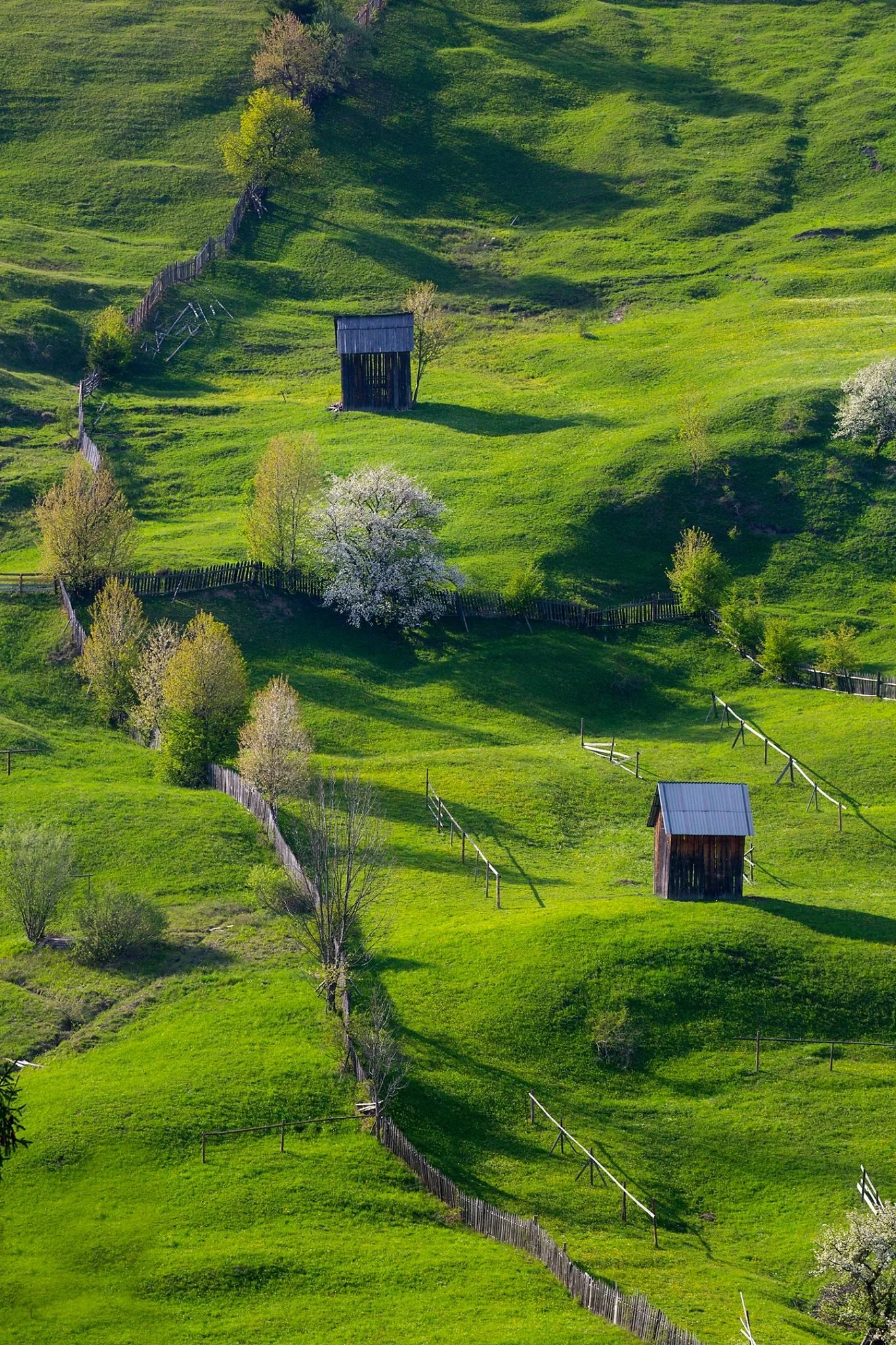 David Weathers25.JPG