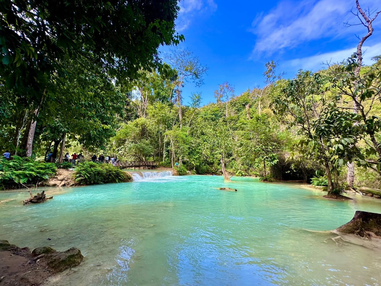 PHOTO-2026-01-10-21-45-09 2.jpg