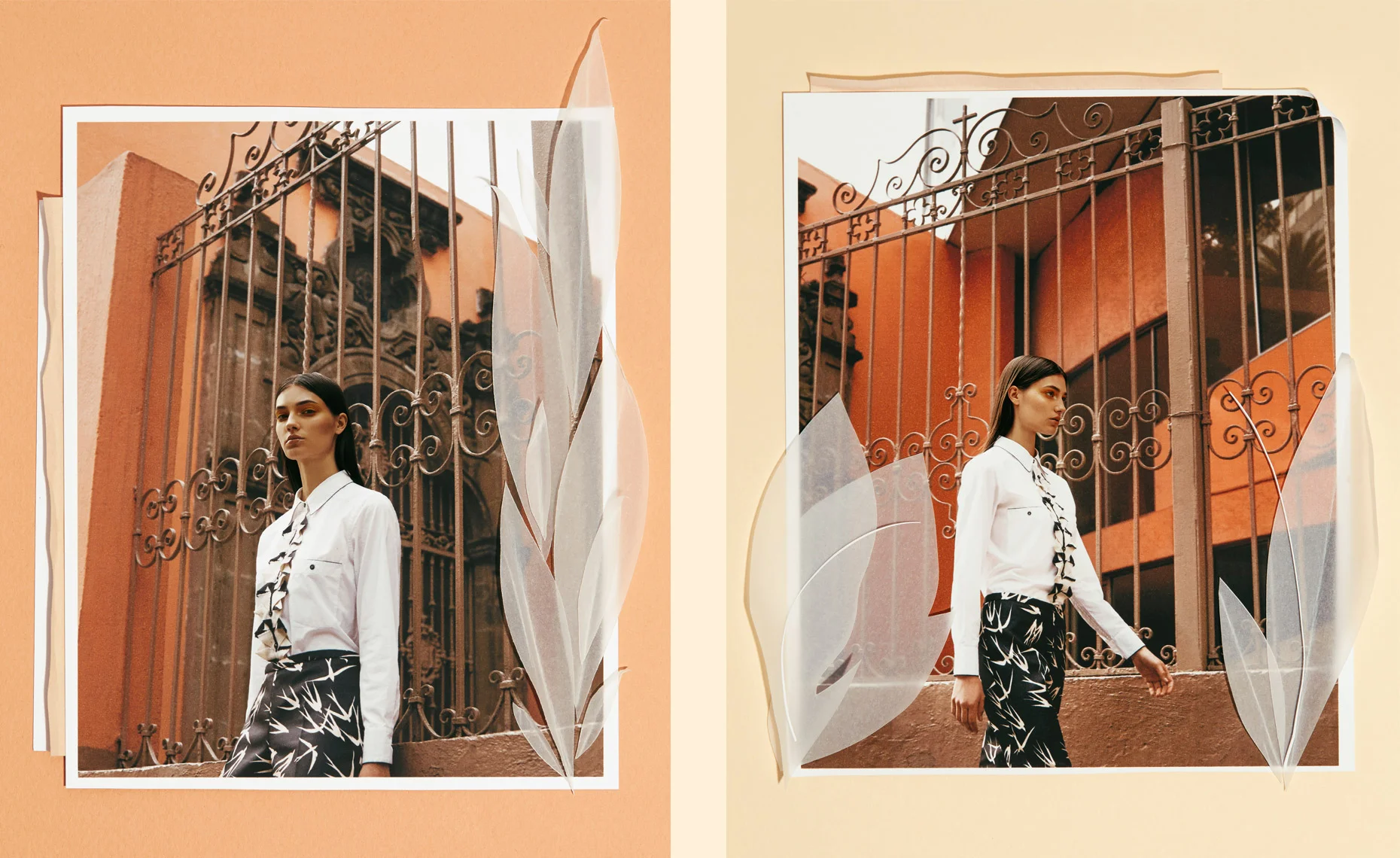 FLORES7.jpg