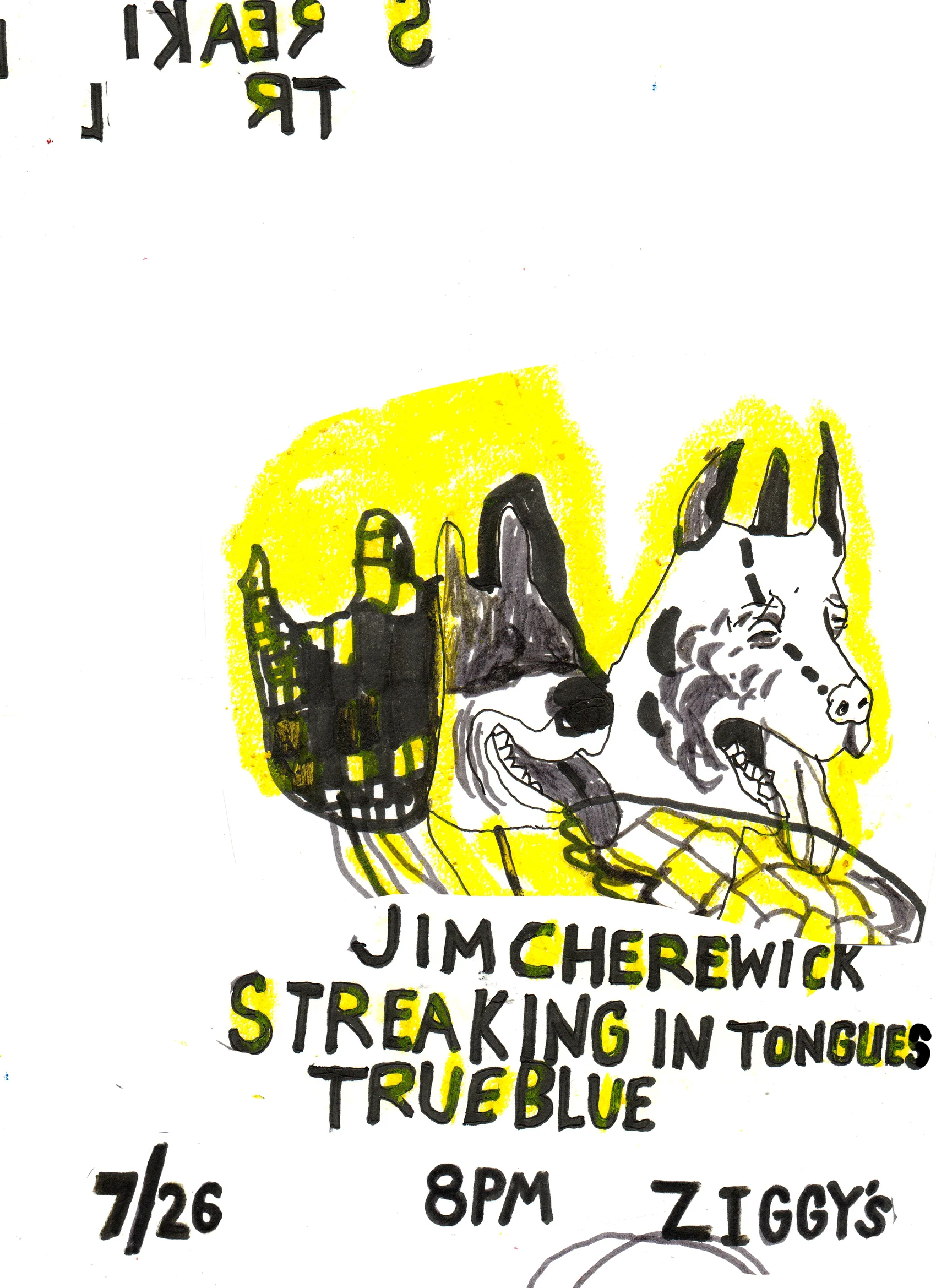 streaking in ziggys small.jpg