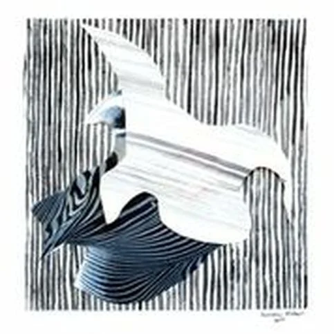 Bird In Flight Spring 2012 Xeroxed images on paper 12" x 12"