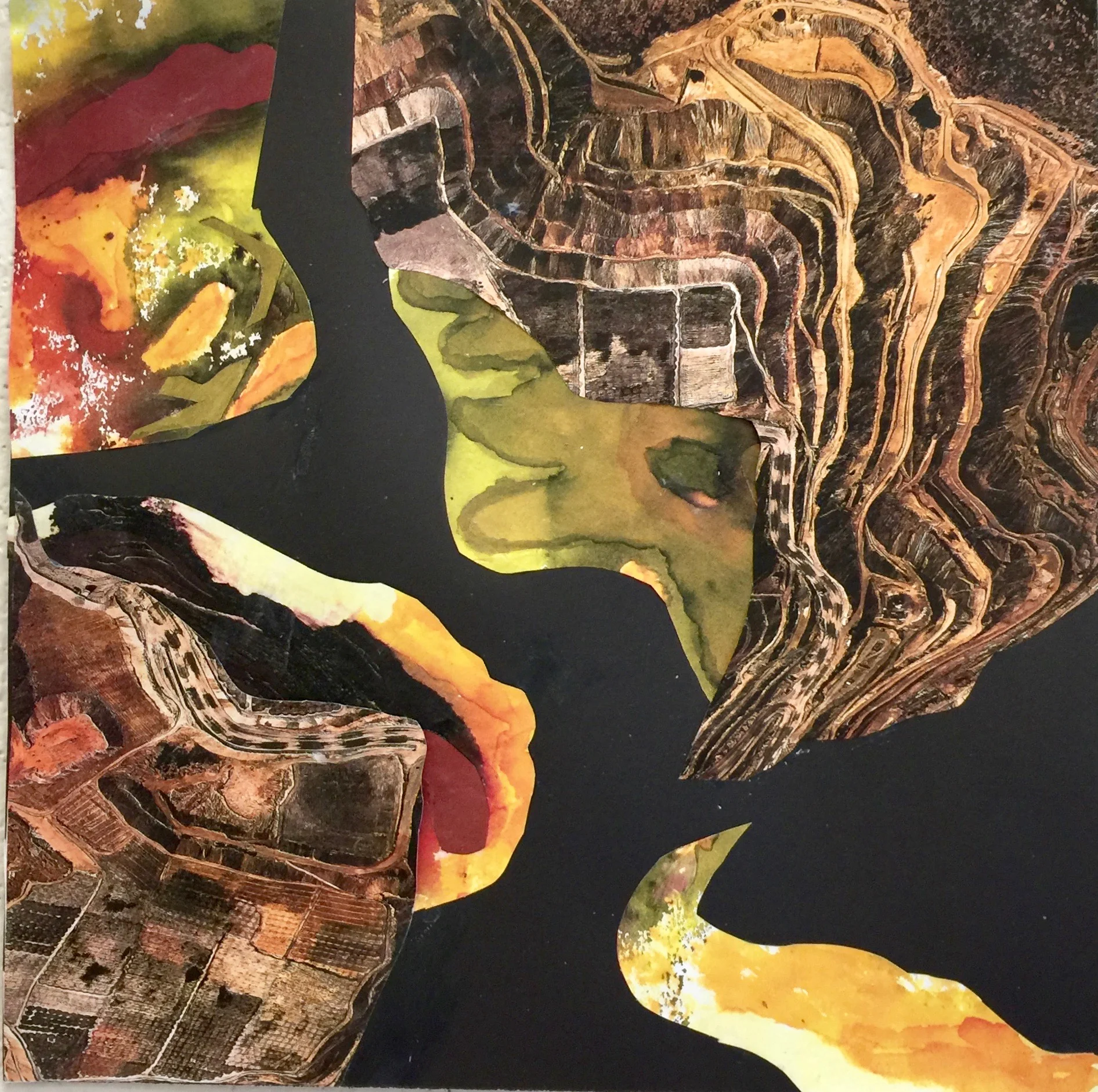 View From Above Fall 2016 Collaged Images on paper 12" x 12"