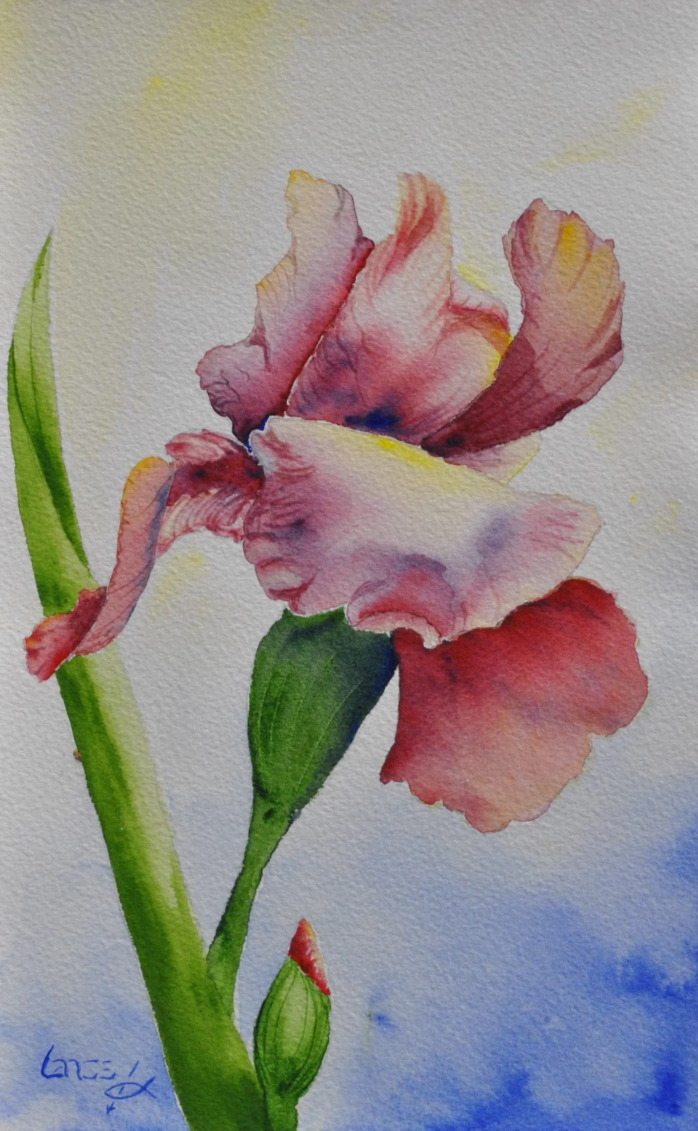 While She Slept10x8 watercolor$395.jpeg