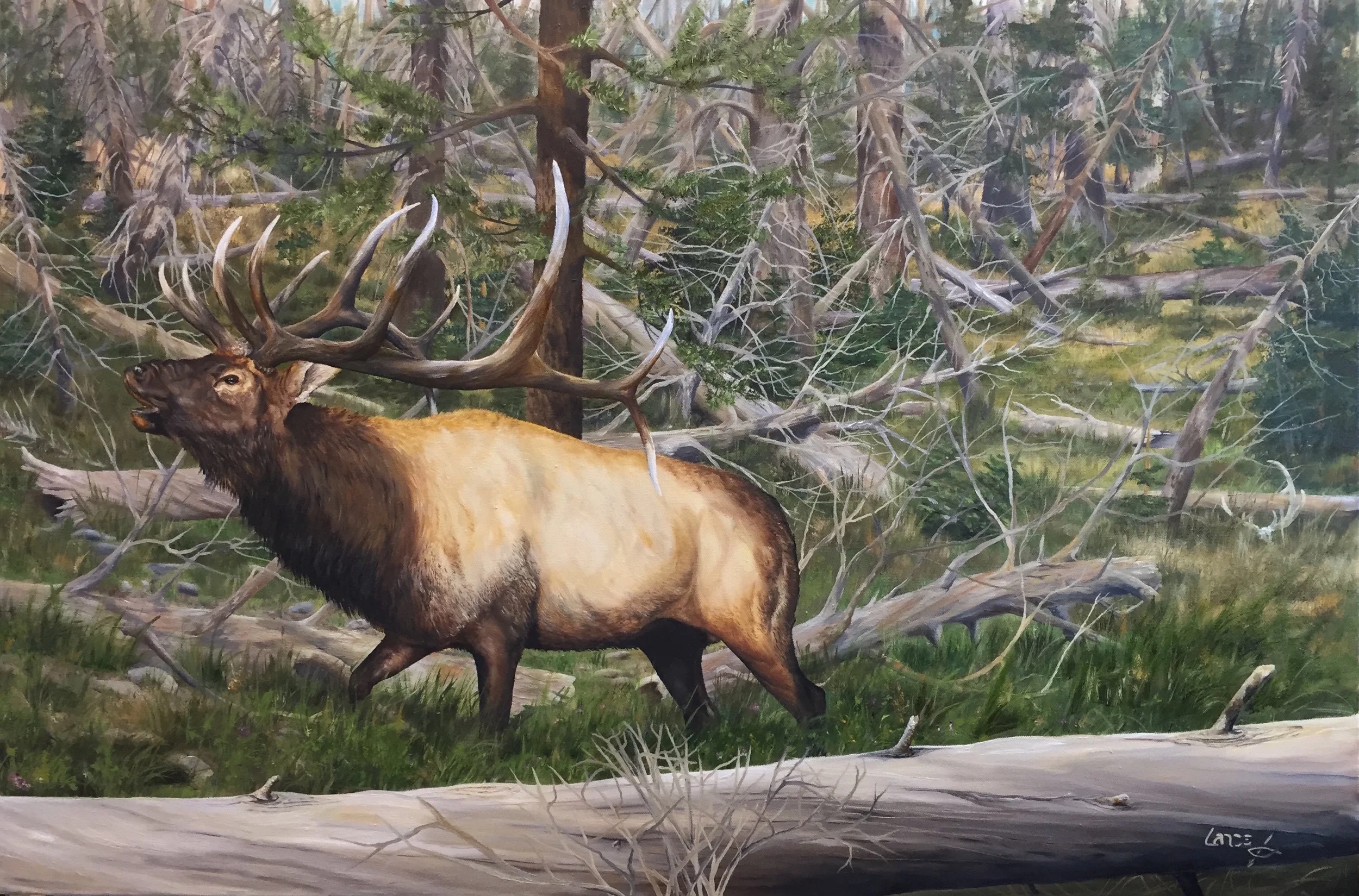 12 Yards painting .jpeg