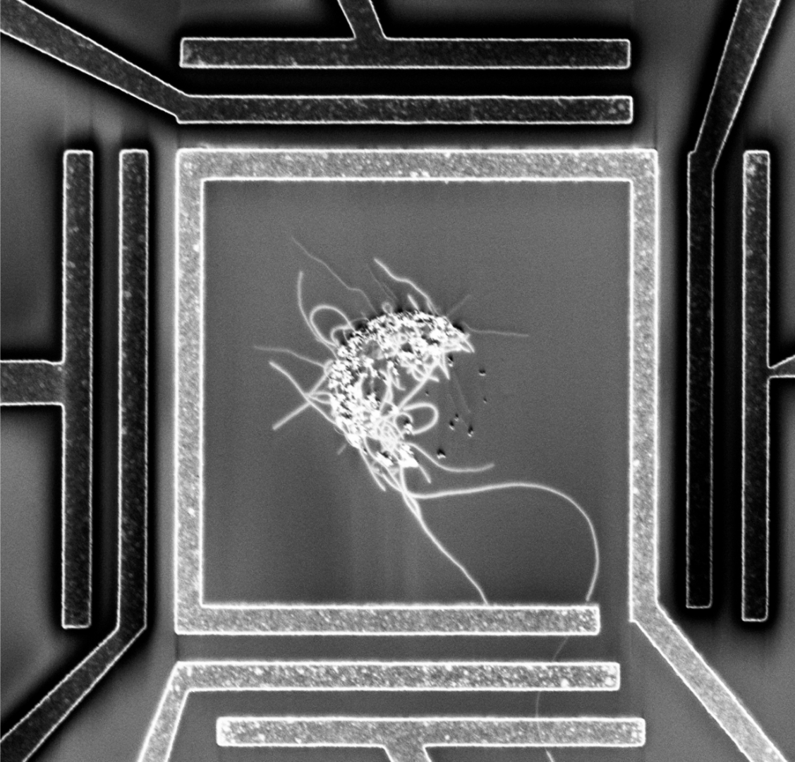 Carbon nanotube quantum dot