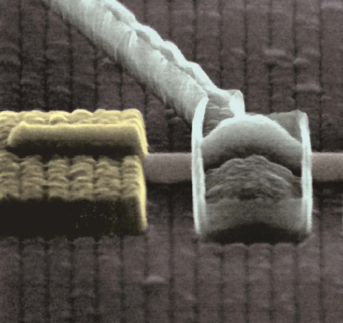 InSb superconducting nanowire device