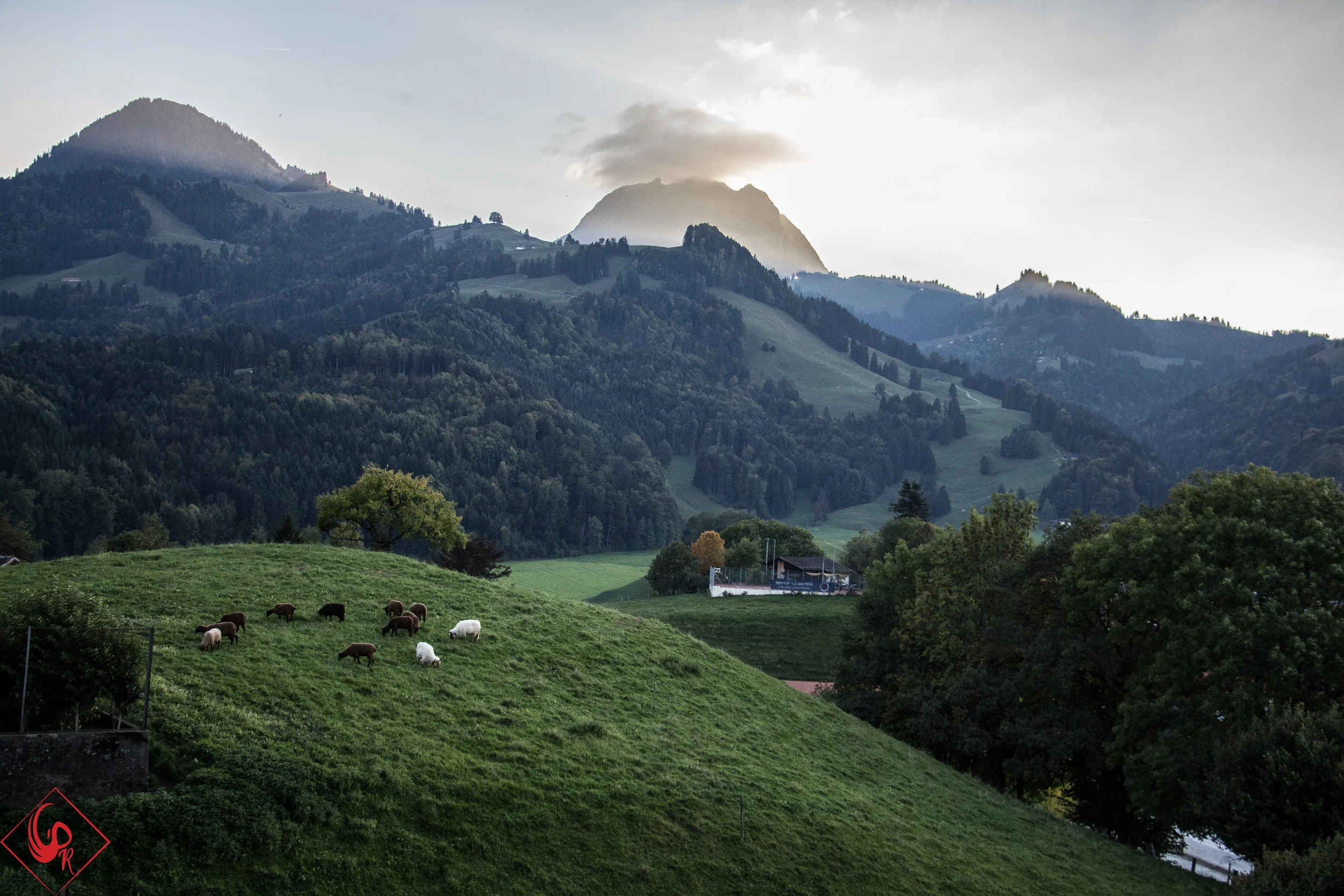 Switzerland-1-313.jpg