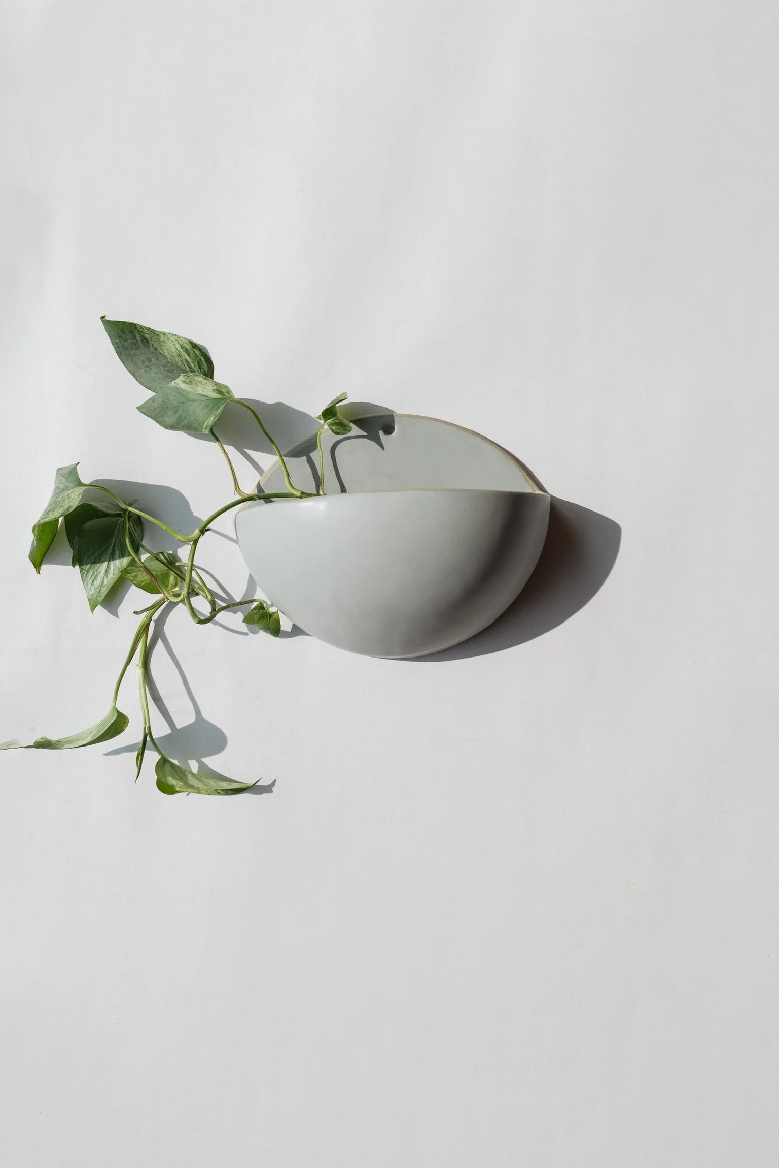 wallplanter-1.JPG (Copy)