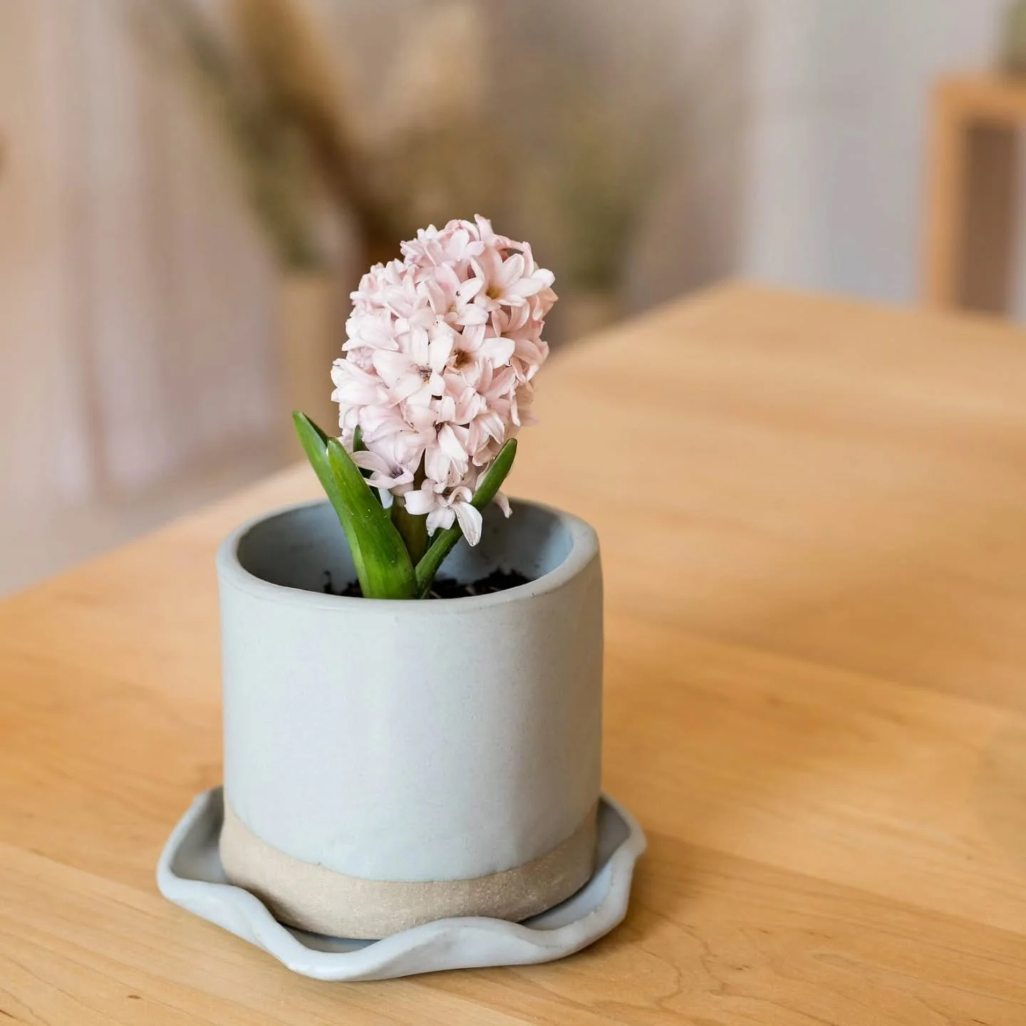 Planters planters planters 🌿
Spring is here and your plants want you to build them a new home! Join us for a planter workshop on either
4/19
4/22
5/4
5/10
5/29
5/31
🌷