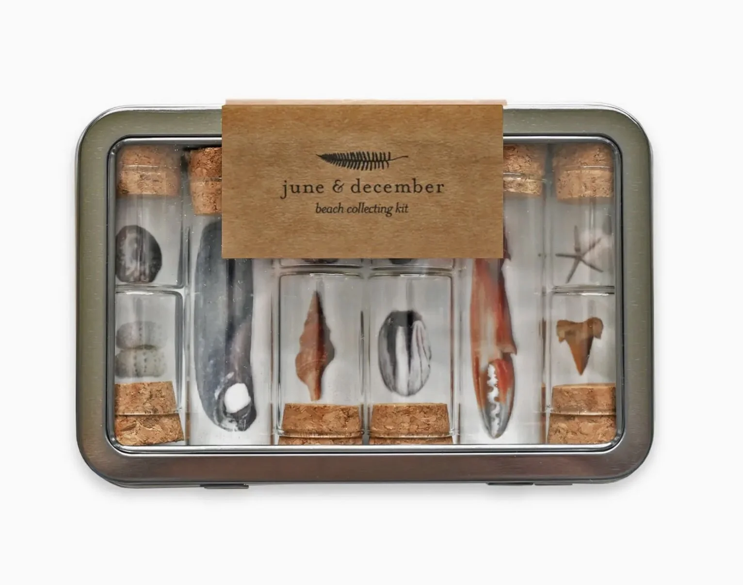 Beach Collecting Kit