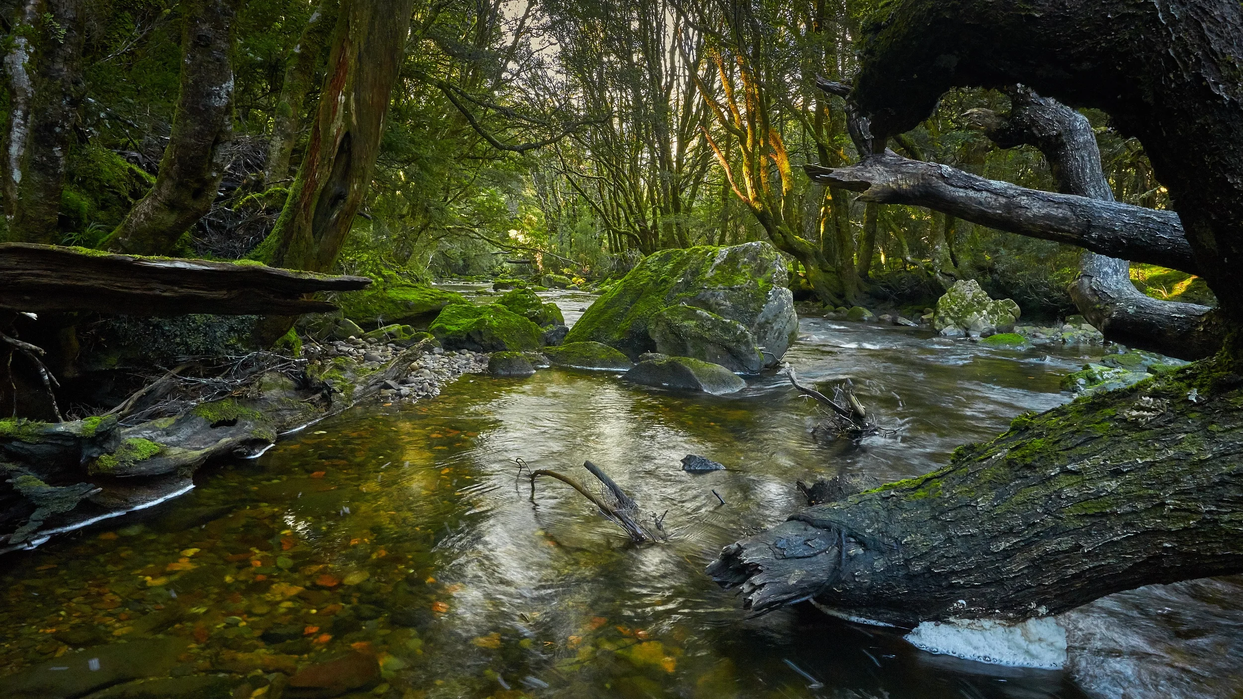 Cradle Mountain, Tasmania