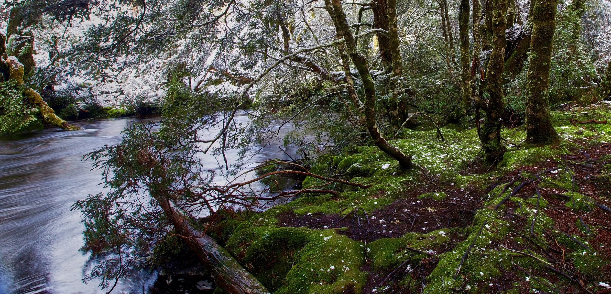 Cradle Mountain Winter Scene, Tasmania