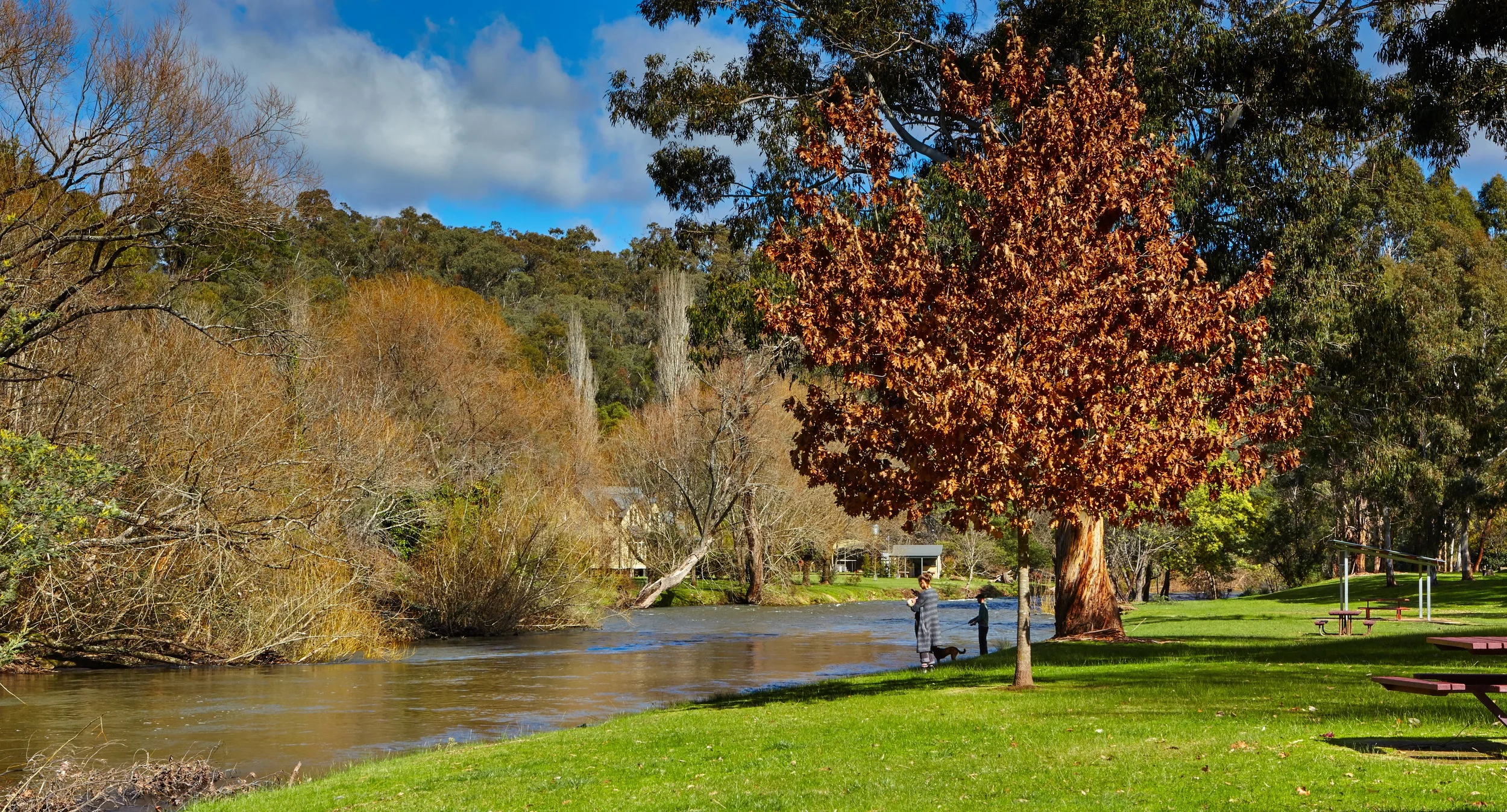 River Scene - Jamieson, Victoria