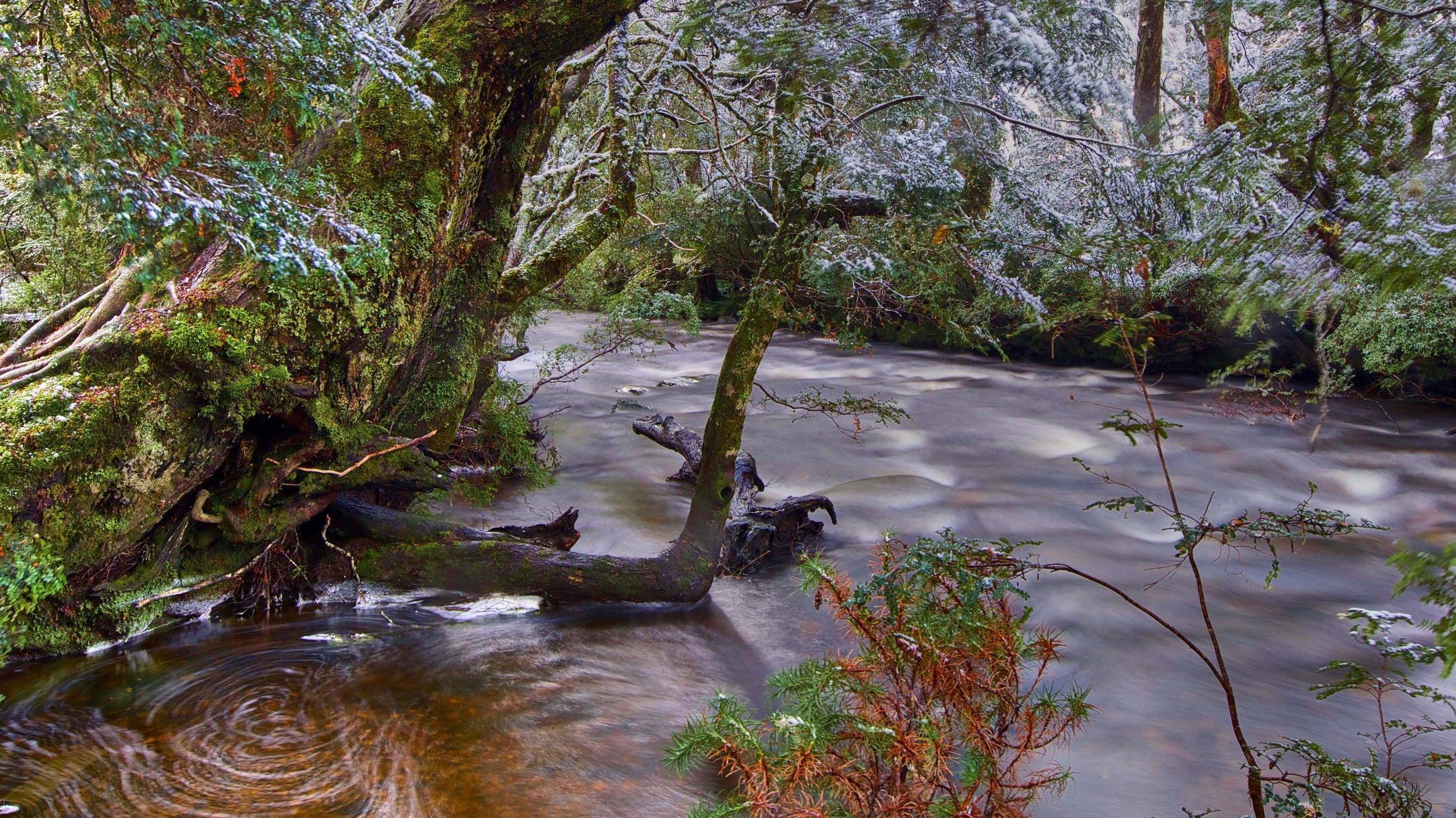 Cradle Mountain, Tasmania