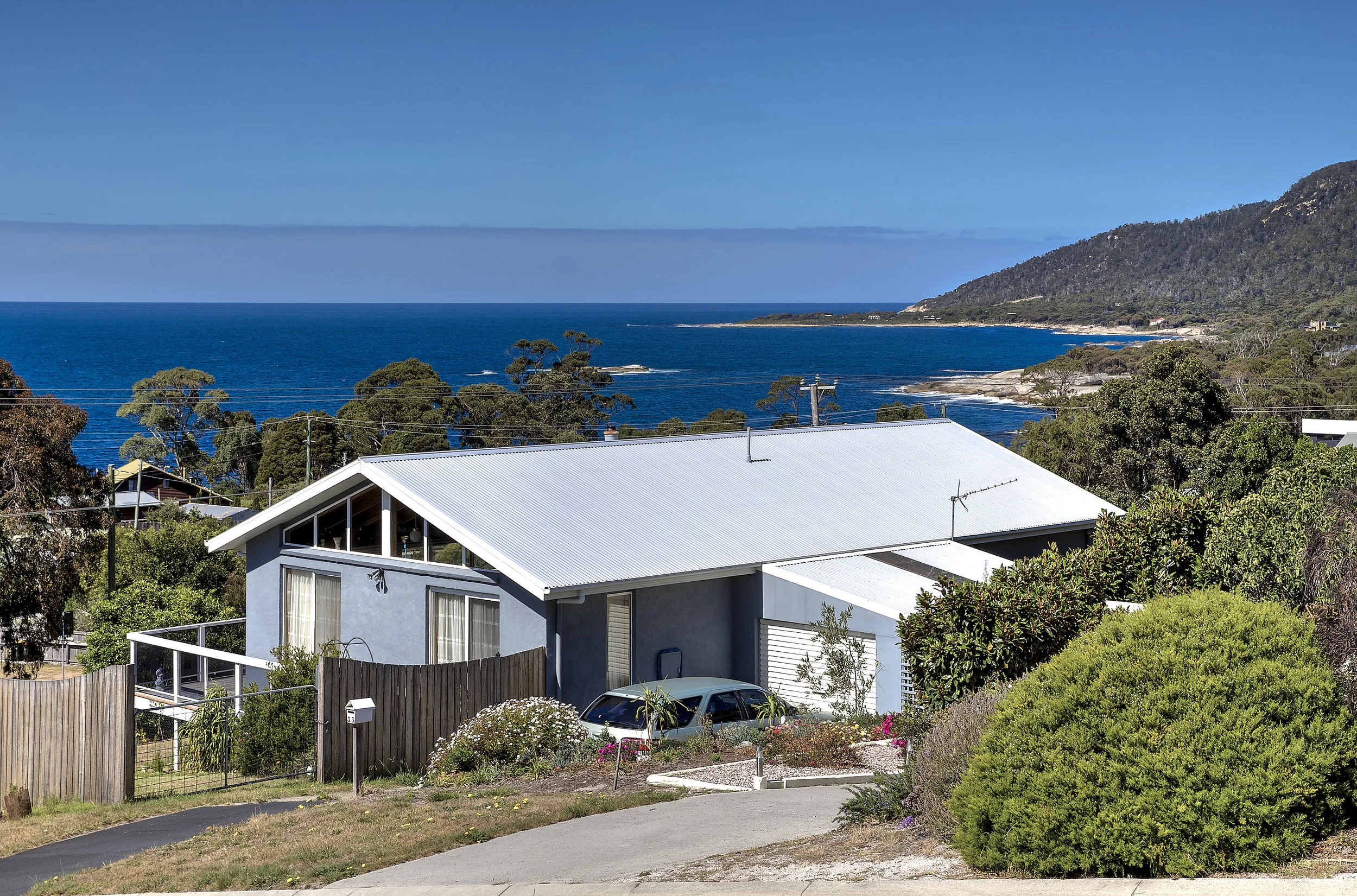 2491.jpg