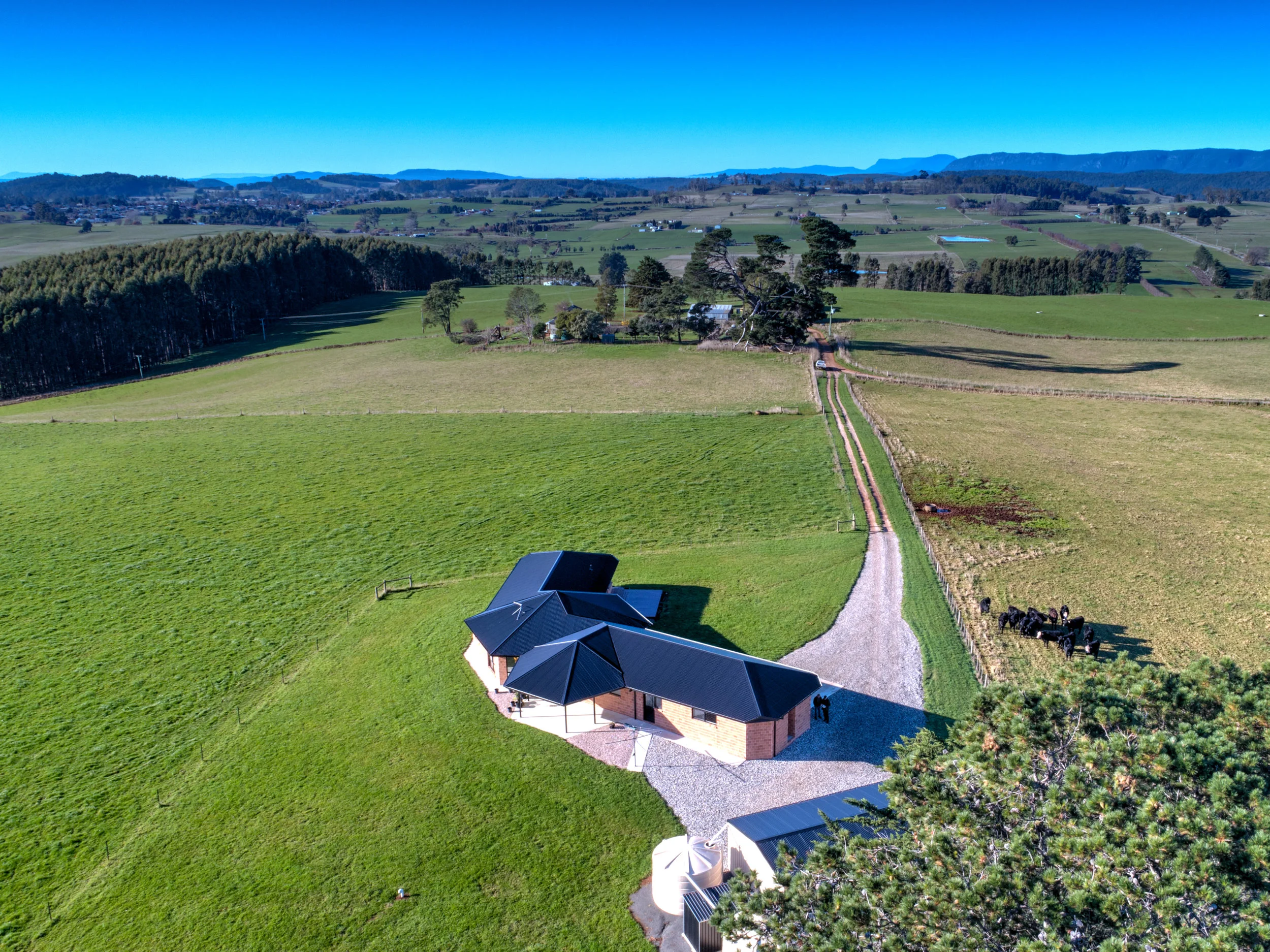 DJI_001045 Jones Street 1.jpg