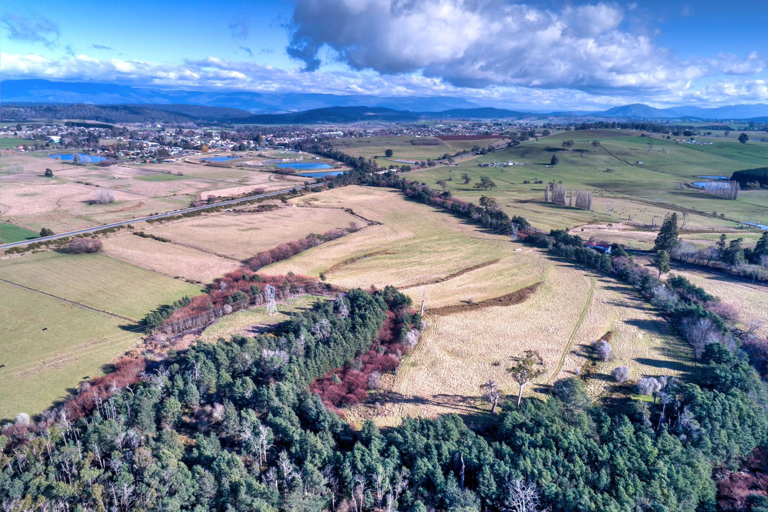 DJI_0060Grigg Street-Edit-Edit.jpg