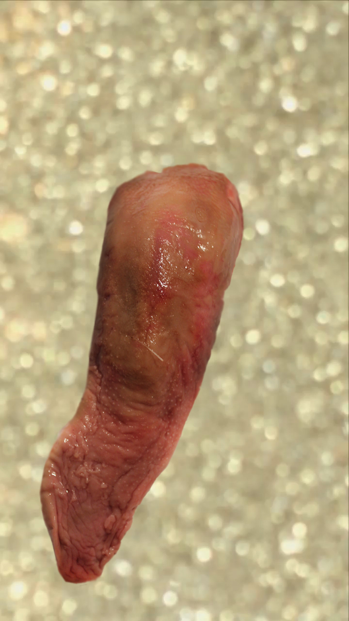 'Gold Dust', (What Noise does a Pig Make) video still. 2015