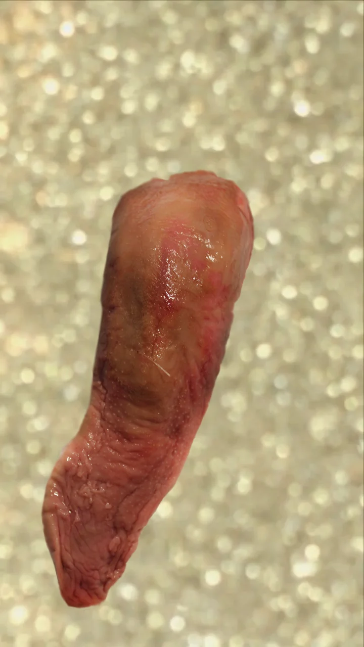 'Gold Dust', (What Noise does a Pig Make) video still. 2015