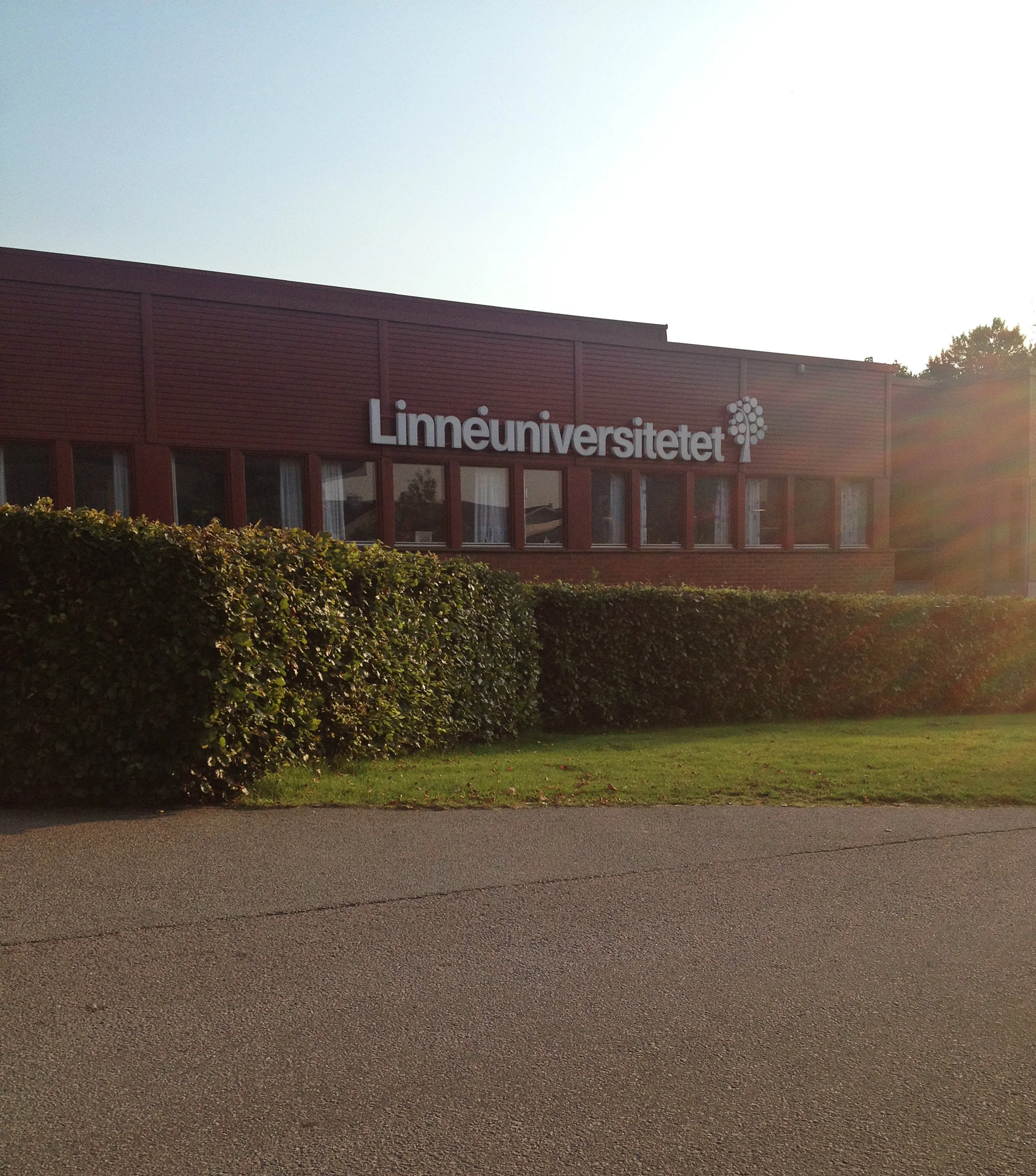 Life at Linnaeus University in Sweden 