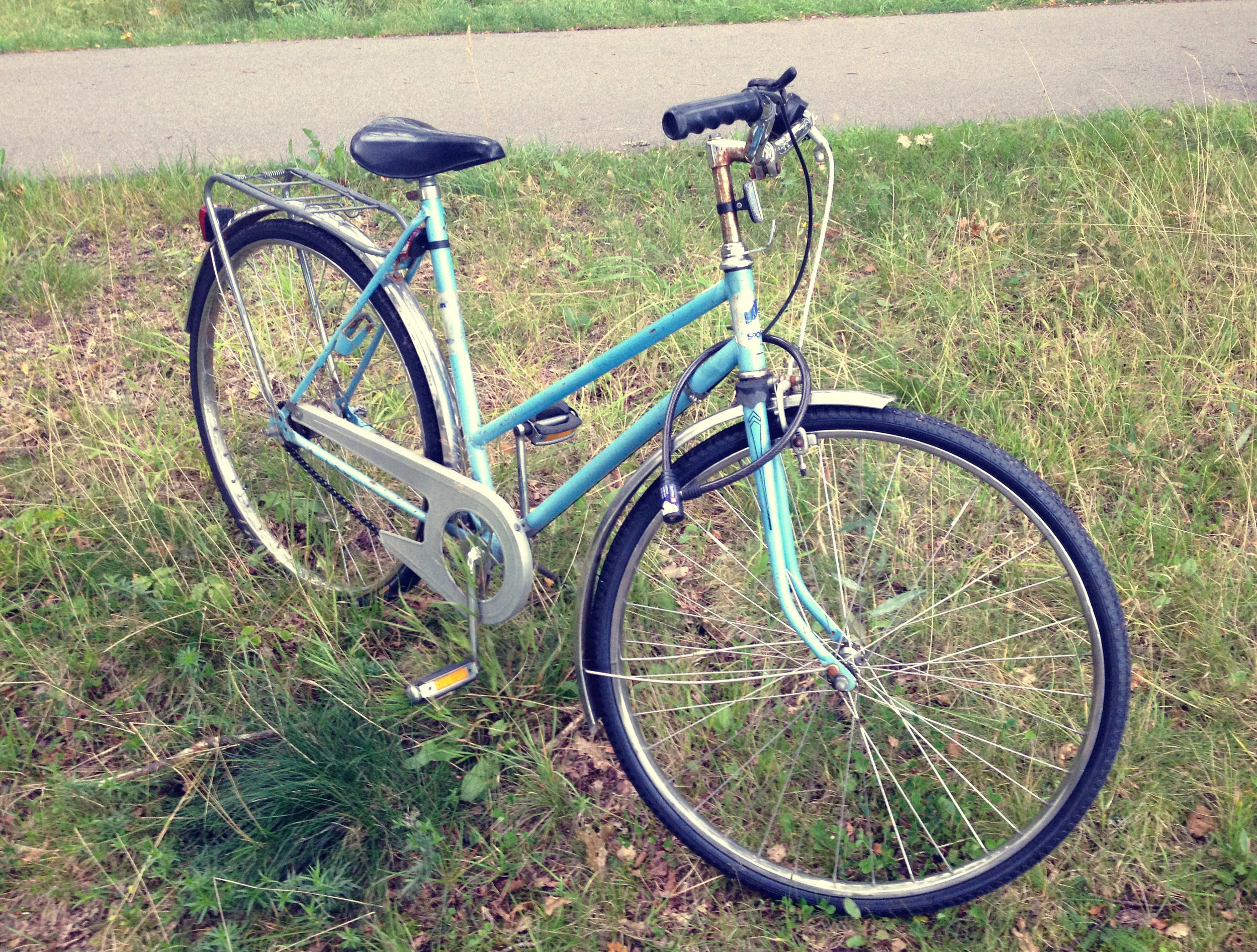 Blue Bike | Tall Girl Meets World
