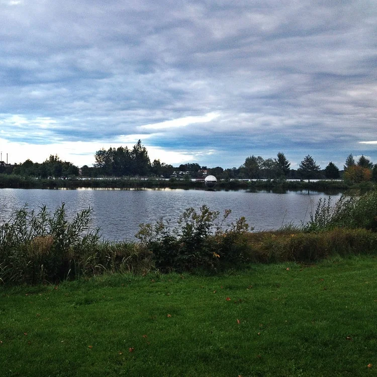 Settling Into My New Home