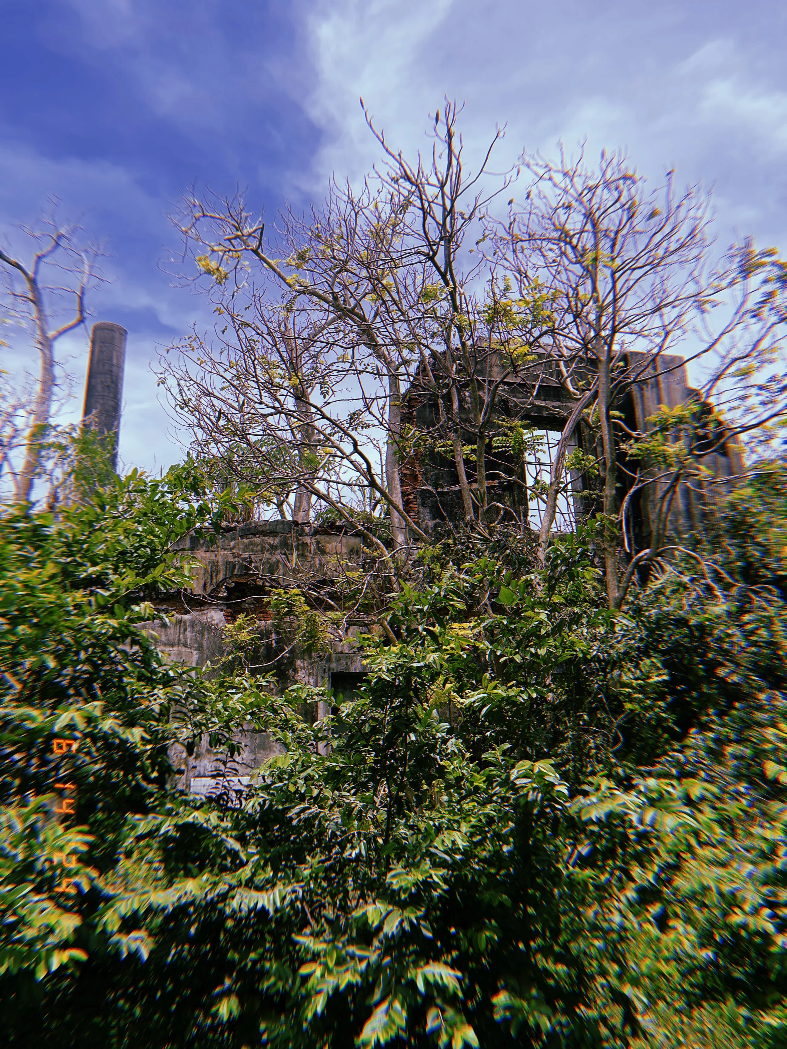 Ruins of Central Azucarera San Vicente in Vega Baja, PR