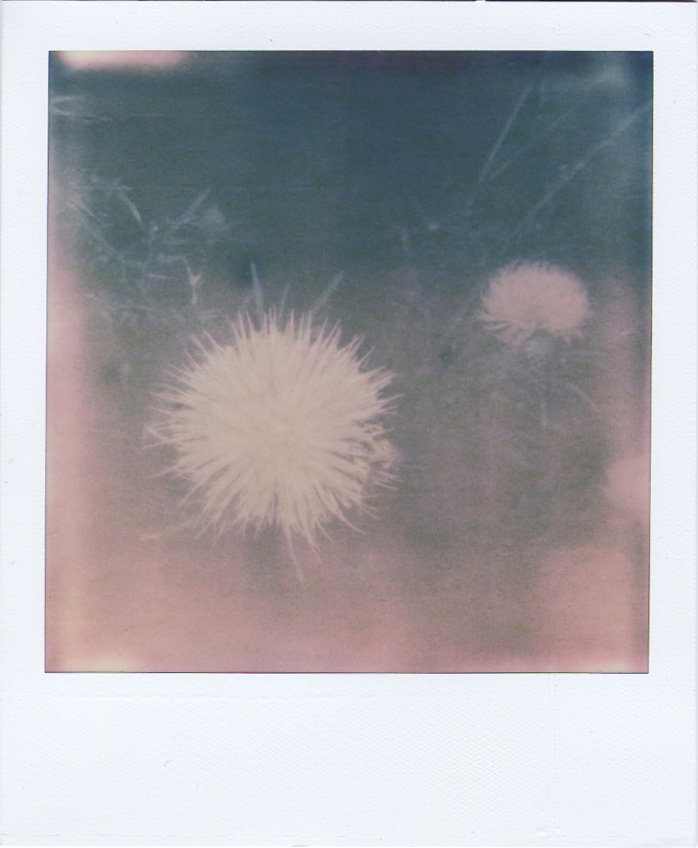 sc0012ce9a.jpg