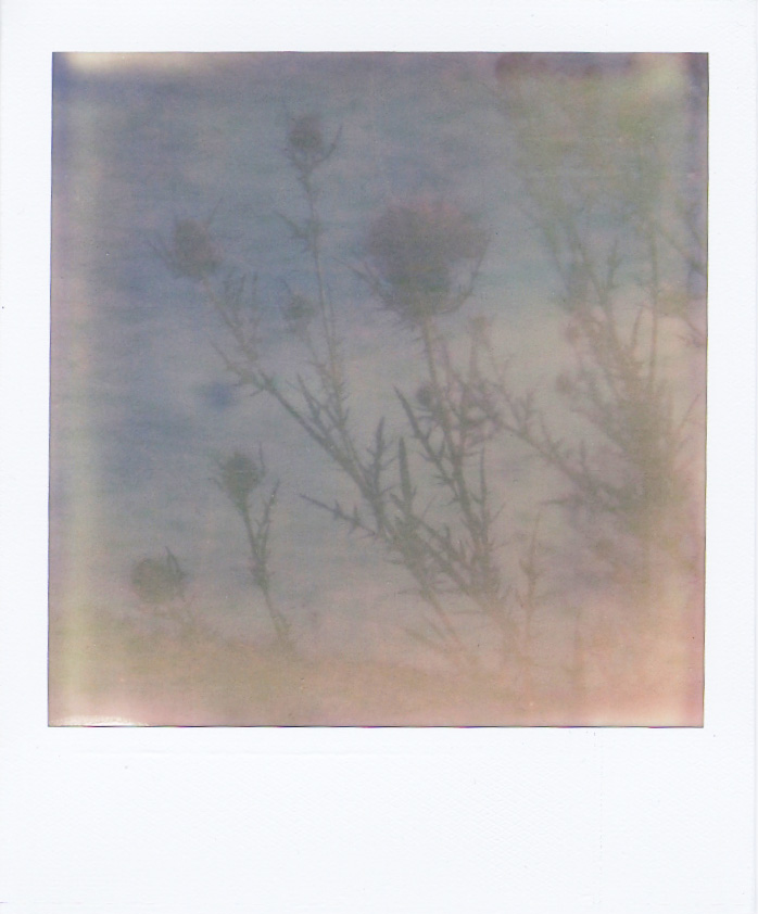 sc001496ab.jpg