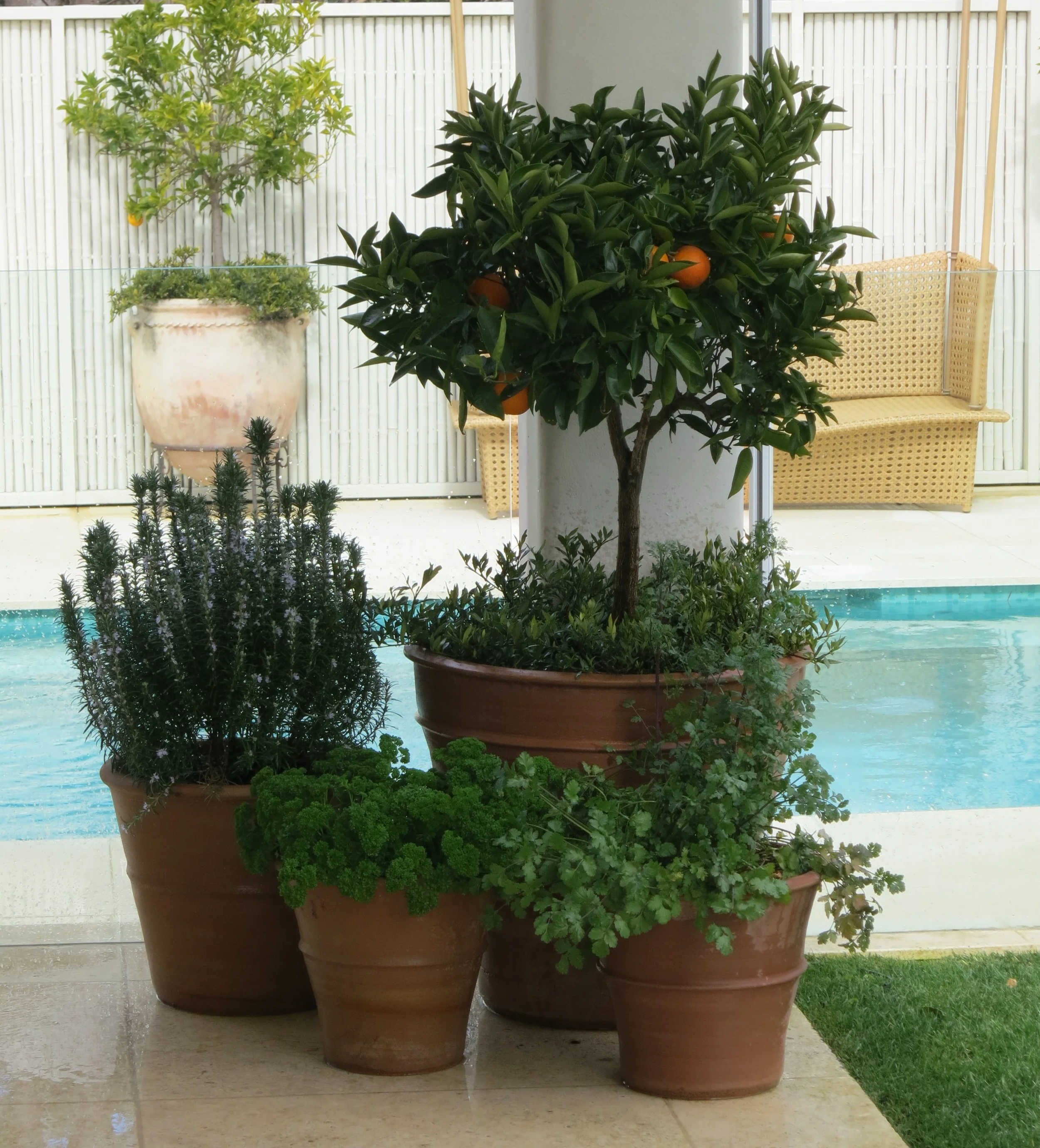 Cretan Terracotta Pots